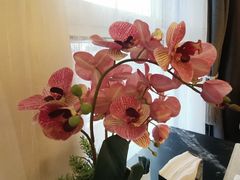 -楚禾宴·家宴(光谷大道店)