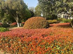 -滨湖塘西河公园