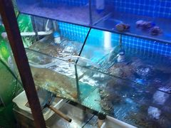 -面道赞宁海海鲜面(迎凤街店)