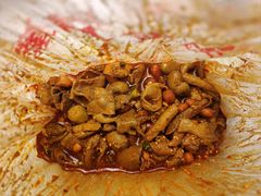 -老号尤兔头(玉堂店)
