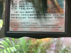 -上海大自然野生昆虫馆(东方明珠·爬宠昆虫探索中心)