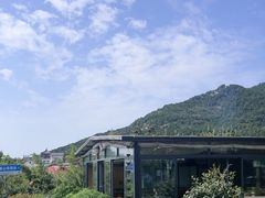 -蘇河湾·新鲁菜·泰山宴(泰山店)