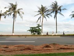 -野狸岛