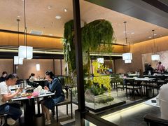 -阿露佳·舌尖上的安吉菜