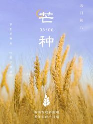 -蘭club婚礼策划