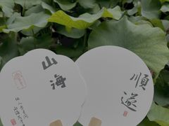 -花之城
