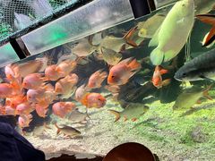 -太平洋海底世界