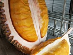 -都念榴莲·城市榴莲