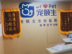 -宠颐生猫科·内科皮肤科(西平世纪城店)