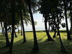 -大梅沙海滨公园