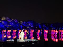 -印象西湖·最忆是杭州实景演出