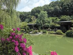 -云溪植物园