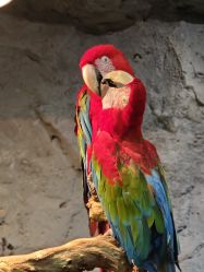 -Zoolung Zoolung动物主题公园(海信广场店)