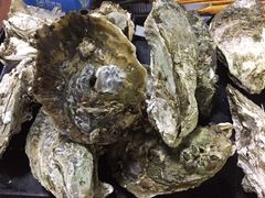 -大富蚝乌东哥饭店·石锅鱼杂·柠檬鸭(革新路店)