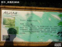 -紫竹院公园冰场