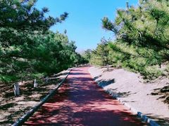 -云岗森林公园