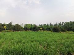 -东郊湿地公园