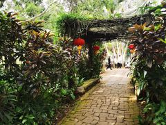 -海南热带野生动植物园
