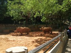 -昆明动物园