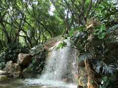 景点-广州珠江公园