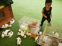 -萌宠亲子动物乐园(槐房万达店)