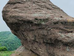 -磬锤峰森林公园