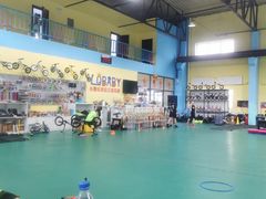 -长春乐奇平衡车儿童体能运动中心