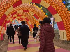 -欢乐海岸椰林沙滩-2025湾区超级灯会