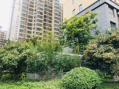 -金辉·天鹅湾