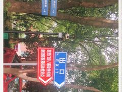 -上海市松江区中心医院