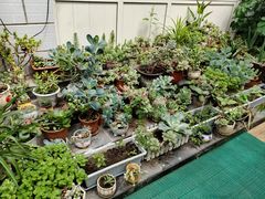 -静莲斋(仙人洞店)