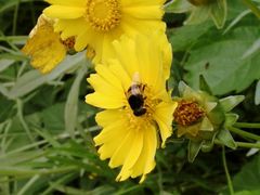 -镇江市南山风景名胜区竹林景区