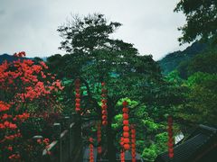 -杭州上天竺法喜讲寺