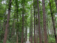 -同里国家湿地公园