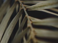 -维乐口腔医院(星海湾分院)