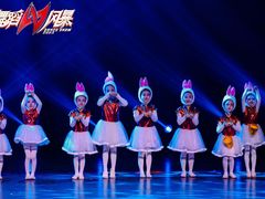 -西安小天鹅艺术团(曲江Alice店)