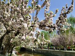 -元大都城垣遗址公园