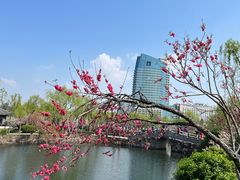 -无锡蠡湖国家湿地公园-蠡园