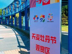 -太阳宫公园