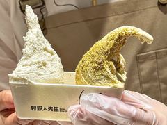 -野人先生Gelato(上海长宁龙之梦店)