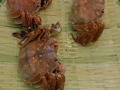 -蟹天蟹地农家菜·阳澄湖大闸蟹(浅水湾店)