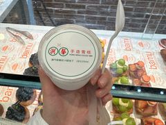 -洪馨椰子