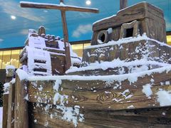 -世界之窗阿尔卑斯冰雪世界