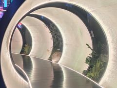 -水之梦(黄浦店)