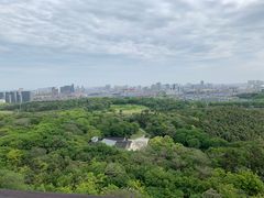 -宜兴龙背山森林公园