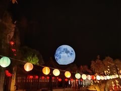 -横店影视城梦幻谷园区