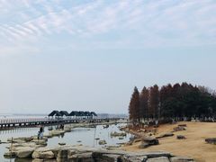 -滆湖低碳生态公园