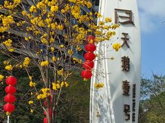 -广州白天鹅宾馆