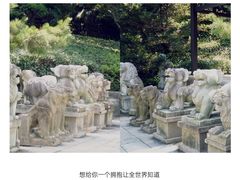 -白马涧龙池景区