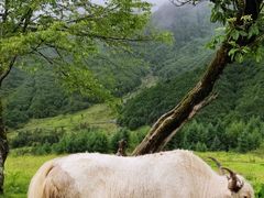 -硗碛藏寨·神木垒景区